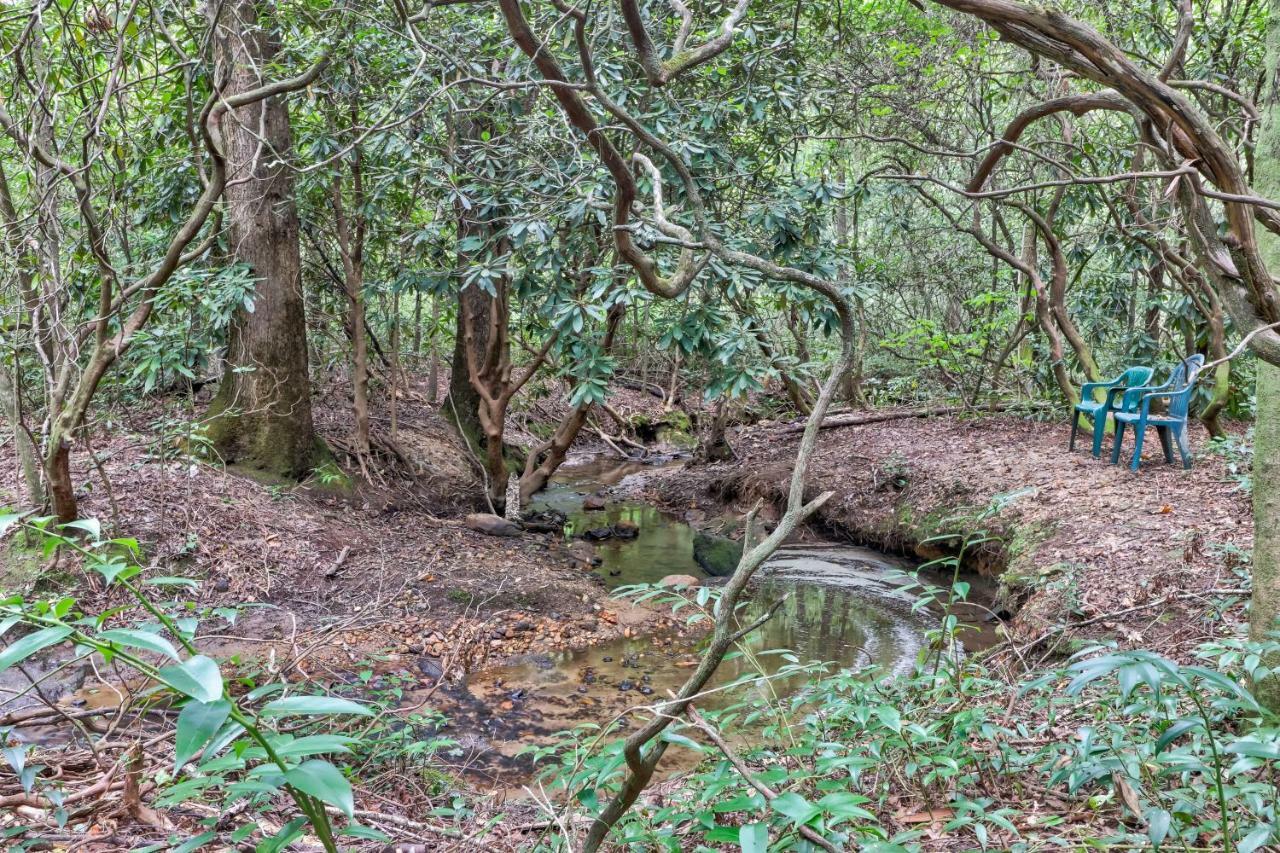 Four Cubs In The Creek Villa Sautee Nacoochee Exteriör bild